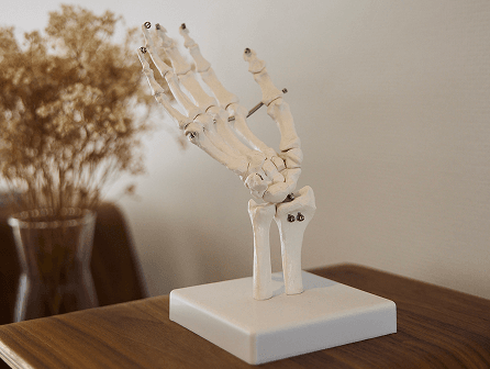 Posturefixx interior.